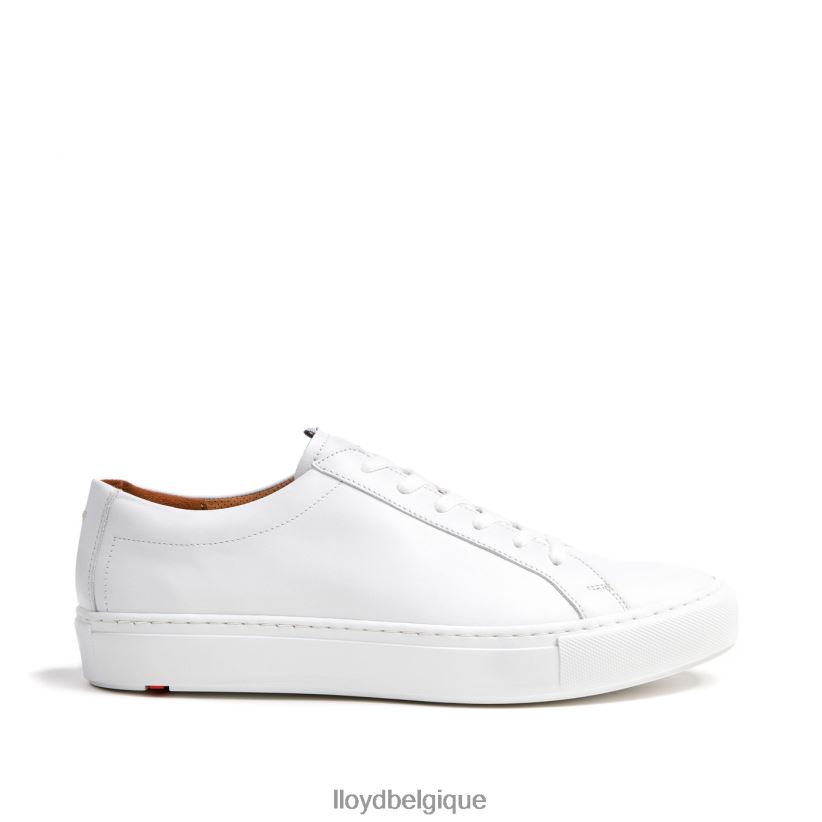 LLOYD Abel Hommes blanc 4Z6Z66289 chaussures