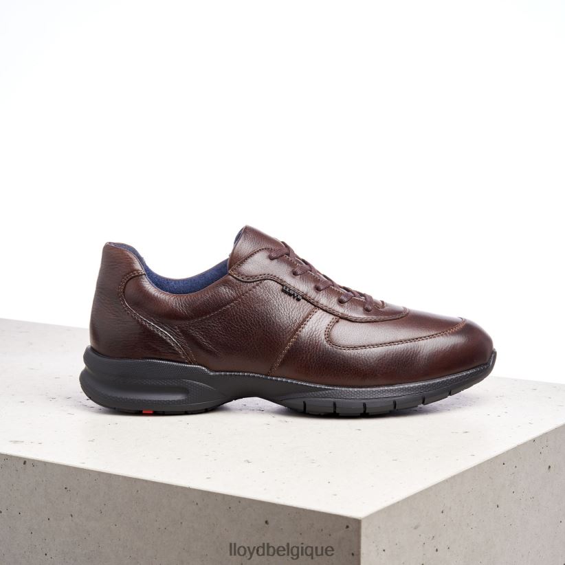 LLOYD Aberdeen Hommes brun 4Z6Z66387 chaussures