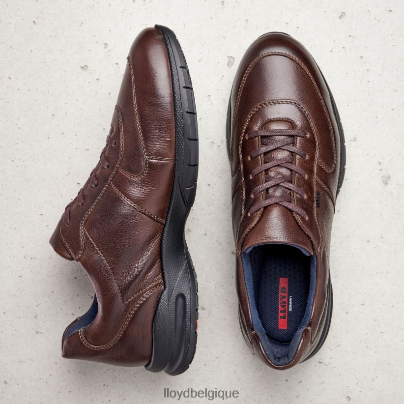 LLOYD Aberdeen Hommes brun 4Z6Z66387 chaussures