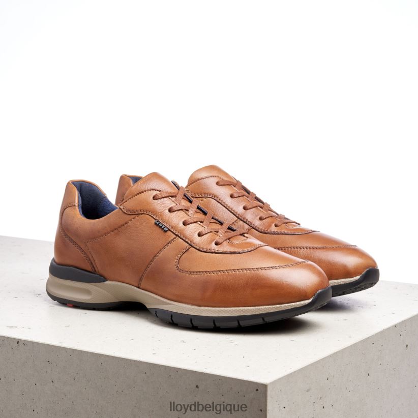 LLOYD Aberdeen Hommes brun 4Z6Z66392 chaussures