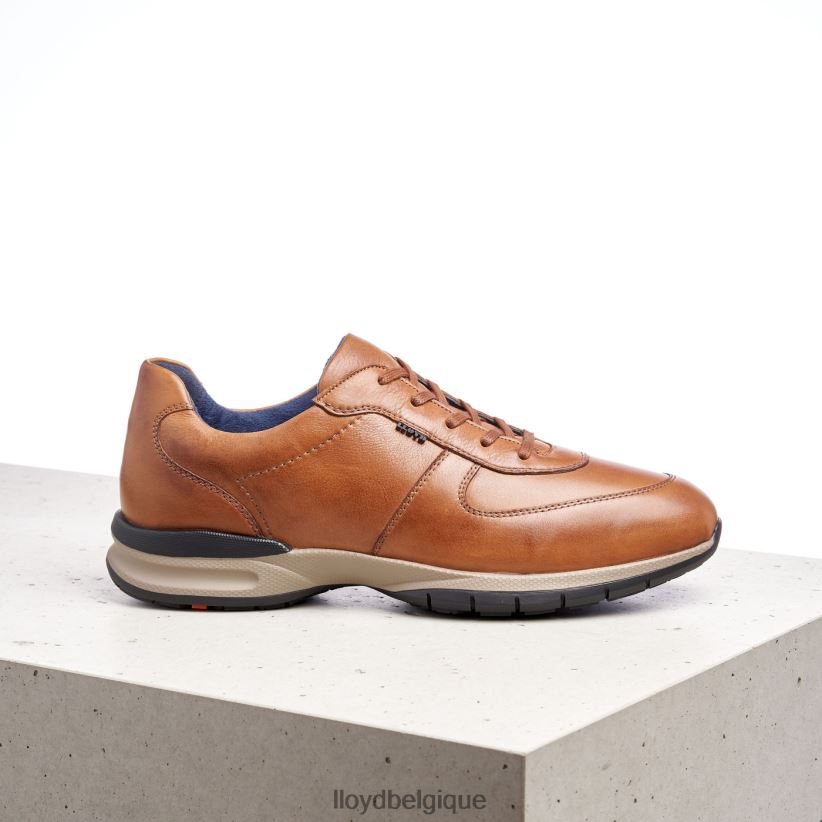 LLOYD Aberdeen Hommes brun 4Z6Z66392 chaussures