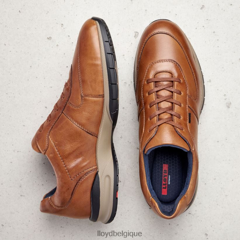 LLOYD Aberdeen Hommes brun 4Z6Z66392 chaussures