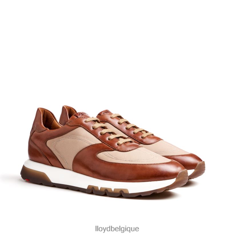 LLOYD Albanie Hommes brun 4Z6Z661337 chaussures