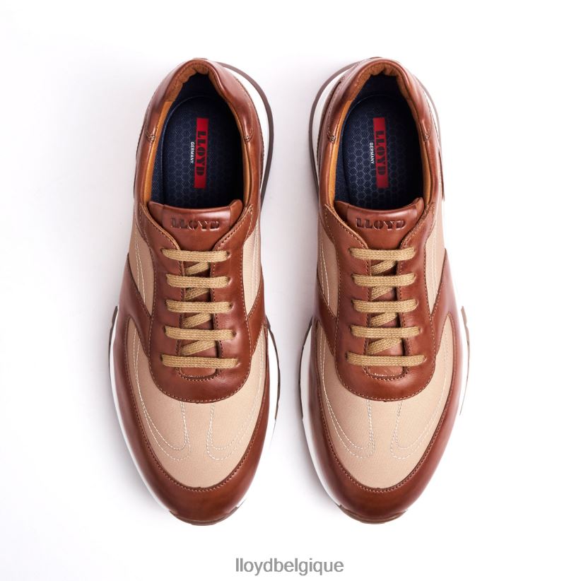 LLOYD Albanie Hommes brun 4Z6Z661337 chaussures