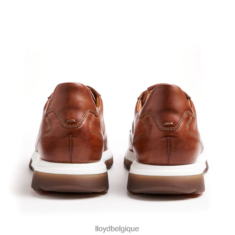 LLOYD Albanie Hommes brun 4Z6Z661337 chaussures