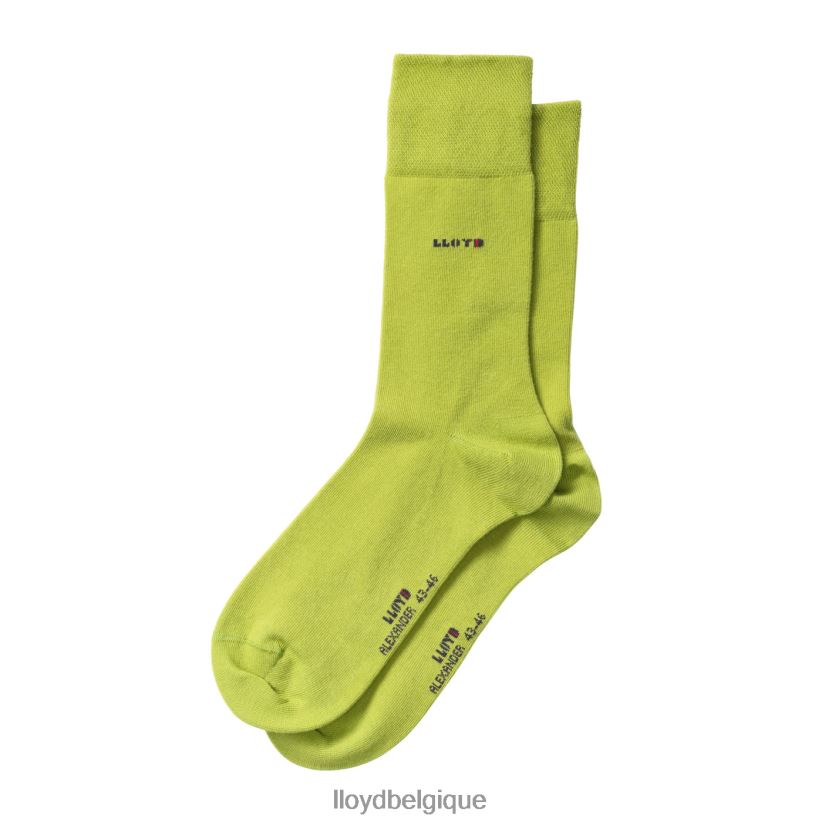 LLOYD Alexandre Hommes vert 4Z6Z66686 accessoires