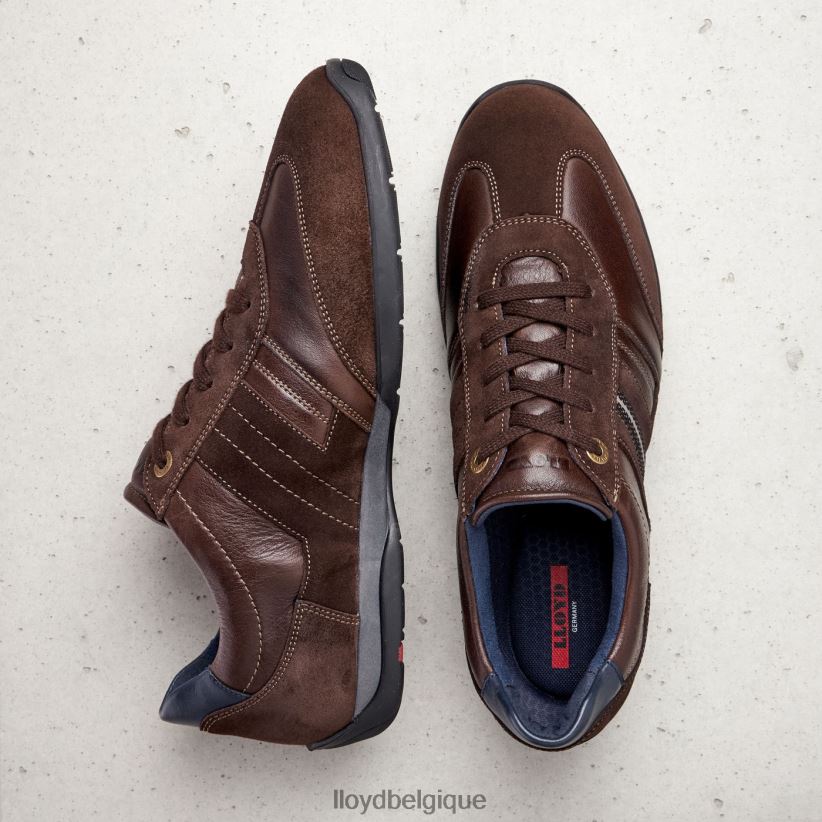 LLOYD Barbade Hommes brun 4Z6Z661339 chaussures