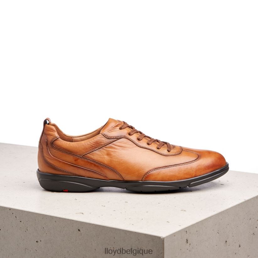 LLOYD Berne Hommes brun 4Z6Z66436 chaussures