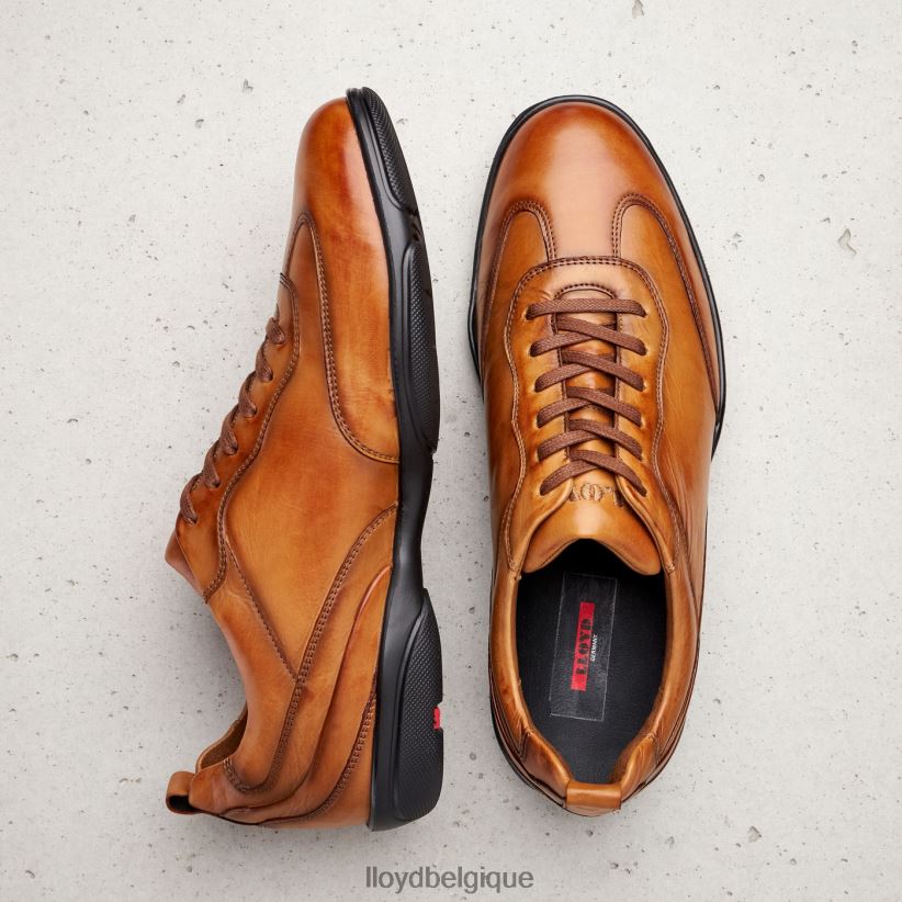 LLOYD Berne Hommes brun 4Z6Z66436 chaussures
