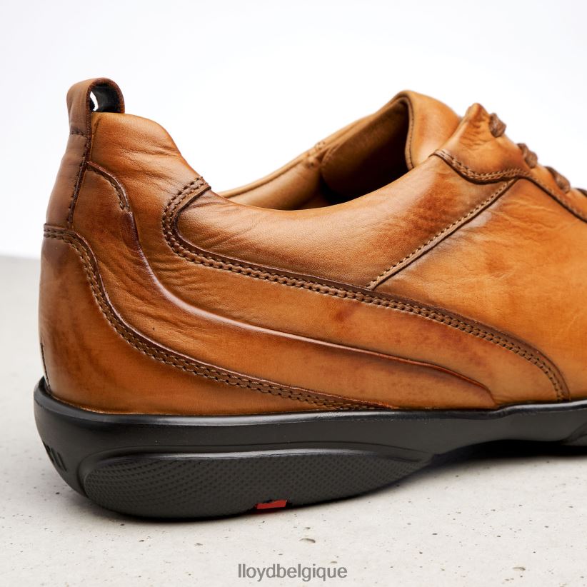LLOYD Berne Hommes brun 4Z6Z66436 chaussures