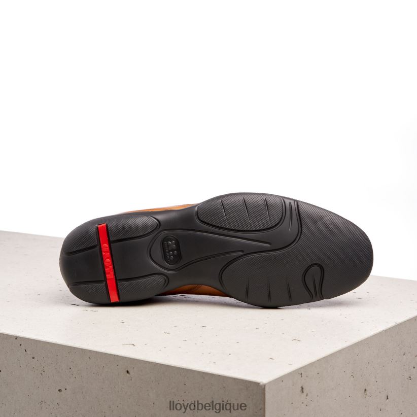 LLOYD Berne Hommes brun 4Z6Z66436 chaussures