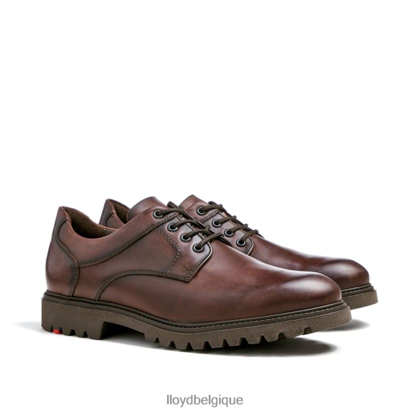 LLOYD Dalton Hommes brun 4Z6Z6639 chaussures