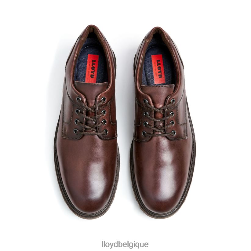 LLOYD Dalton Hommes brun 4Z6Z6639 chaussures