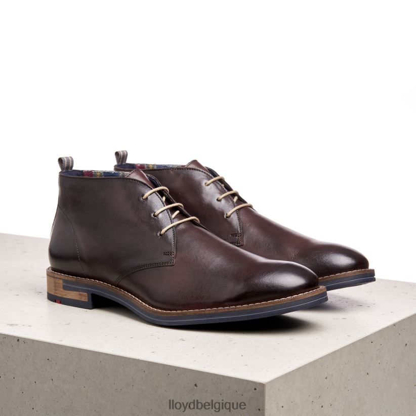 LLOYD Daniel Hommes brun 4Z6Z66168 chaussures
