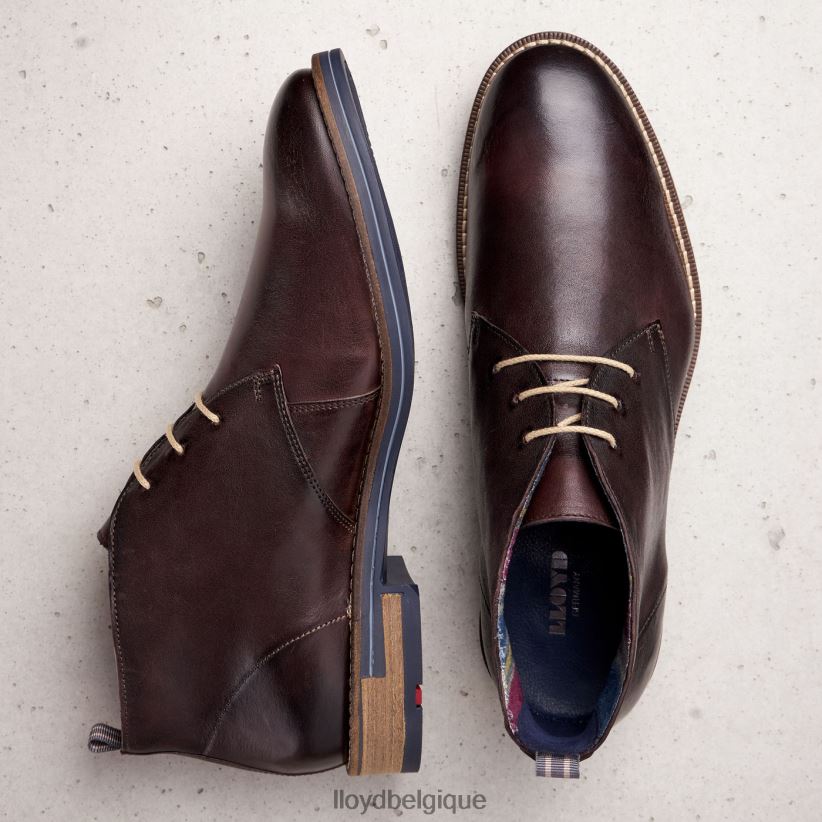 LLOYD Daniel Hommes brun 4Z6Z66168 chaussures
