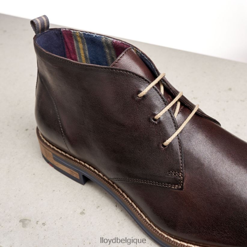 LLOYD Daniel Hommes brun 4Z6Z66168 chaussures