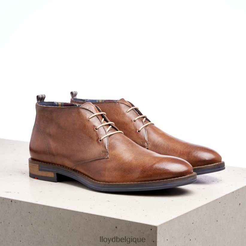 LLOYD Daniel Hommes brun 4Z6Z66549 chaussures
