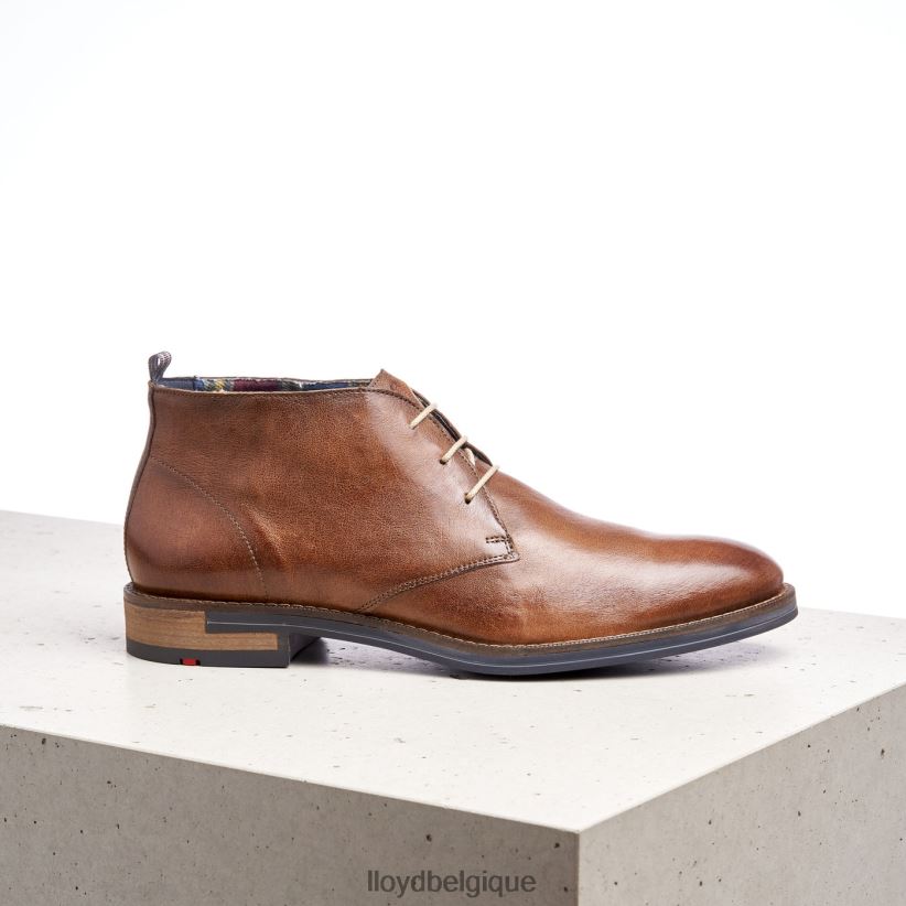LLOYD Daniel Hommes brun 4Z6Z66549 chaussures
