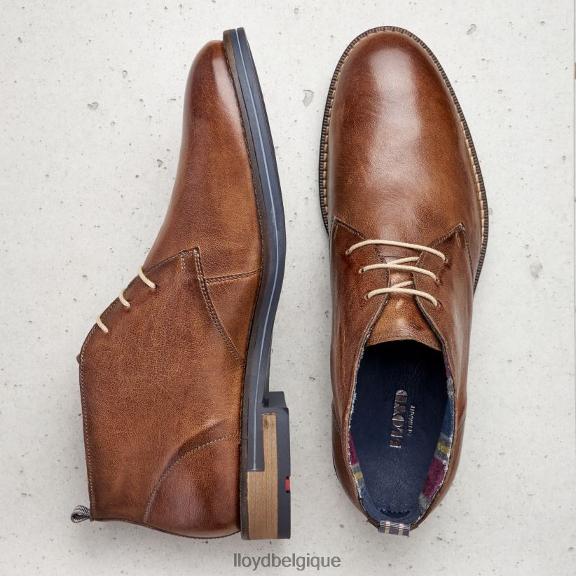 LLOYD Daniel Hommes brun 4Z6Z66549 chaussures