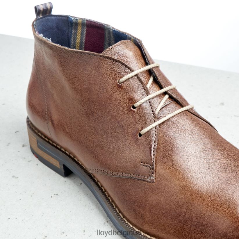LLOYD Daniel Hommes brun 4Z6Z66549 chaussures