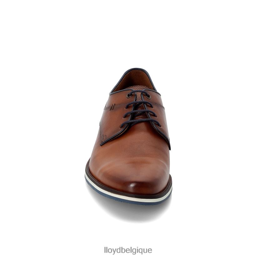 LLOYD Danjaan Hommes brun 4Z6Z66609 chaussures