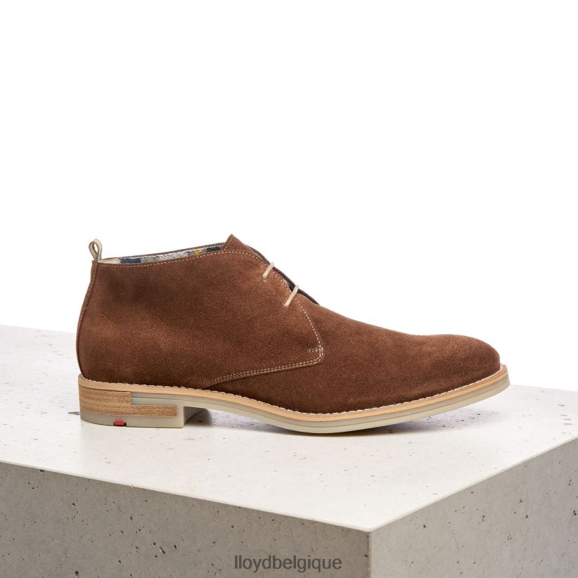 LLOYD Darius Hommes brun 4Z6Z66559 chaussures