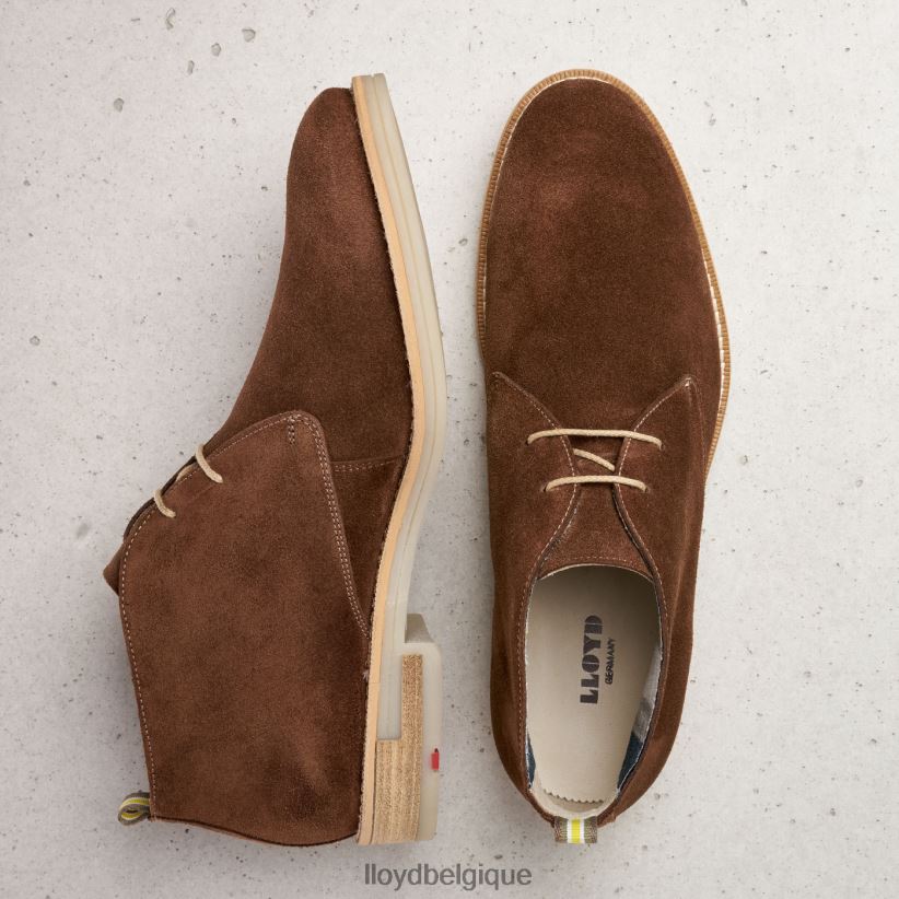 LLOYD Darius Hommes brun 4Z6Z66559 chaussures