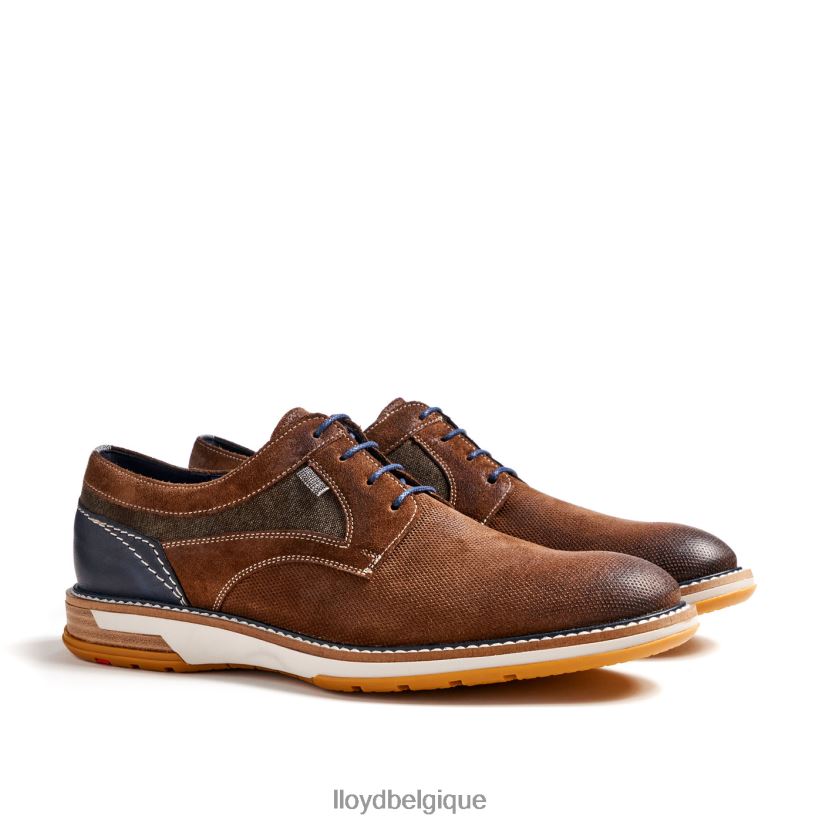 LLOYD Darris Hommes brun 4Z6Z66588 chaussures