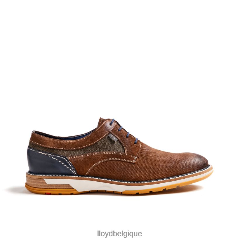 LLOYD Darris Hommes brun 4Z6Z66588 chaussures