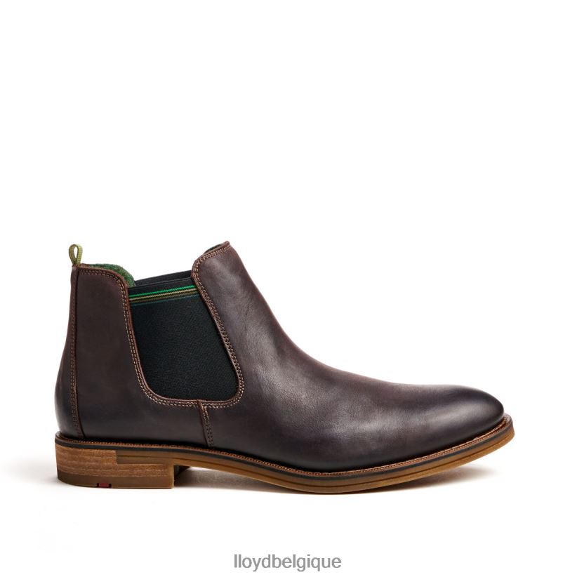 LLOYD Darry Hommes brun 4Z6Z66459 chaussures