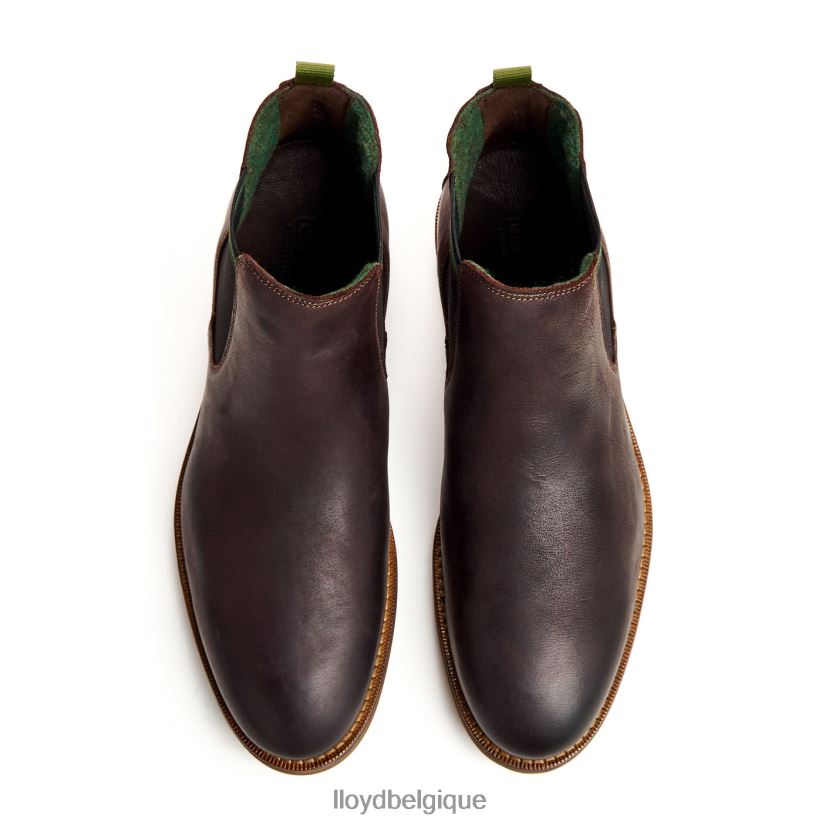 LLOYD Darry Hommes brun 4Z6Z66459 chaussures