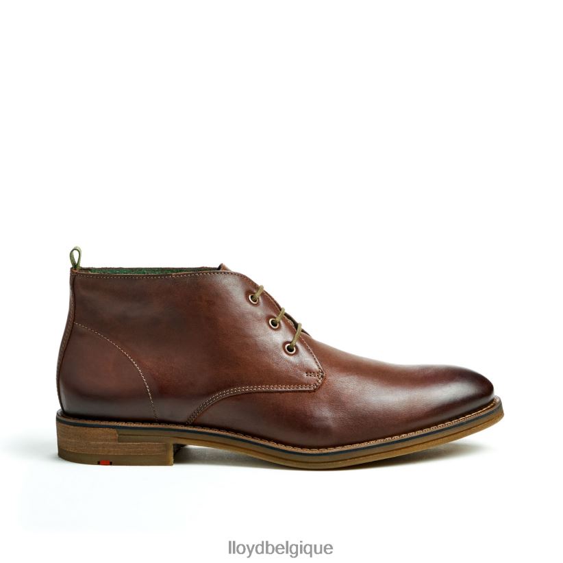 LLOYD Dartmoor Hommes brun 4Z6Z6644 chaussures