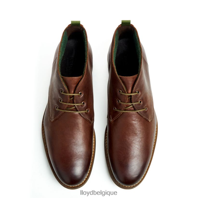 LLOYD Dartmoor Hommes brun 4Z6Z6644 chaussures