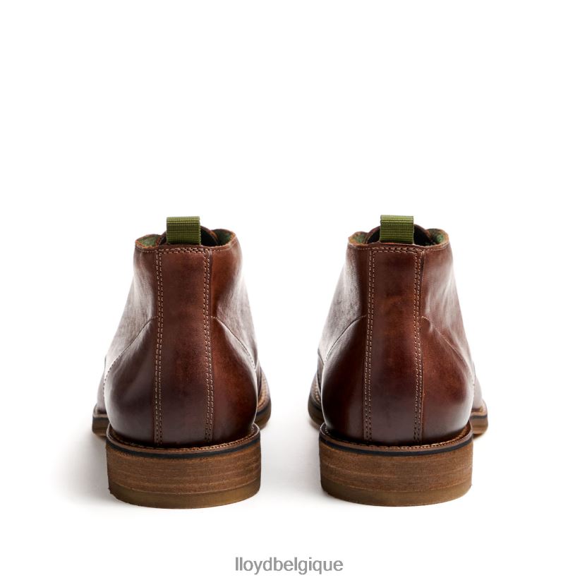 LLOYD Dartmoor Hommes brun 4Z6Z6644 chaussures