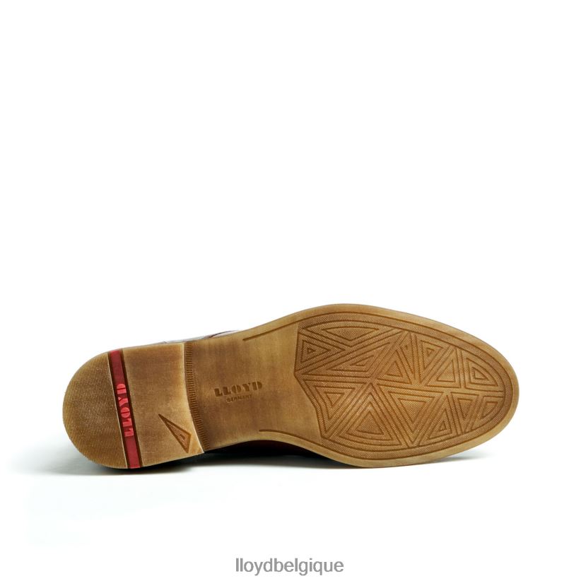 LLOYD Dartmoor Hommes brun 4Z6Z6644 chaussures