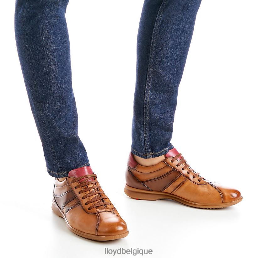 LLOYD Davos Hommes brun 4Z6Z66308 chaussures