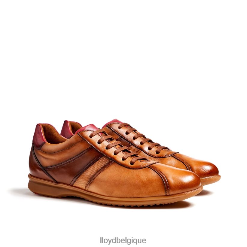 LLOYD Davos Hommes brun 4Z6Z66308 chaussures