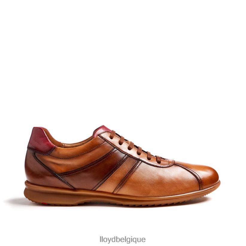 LLOYD Davos Hommes brun 4Z6Z66308 chaussures