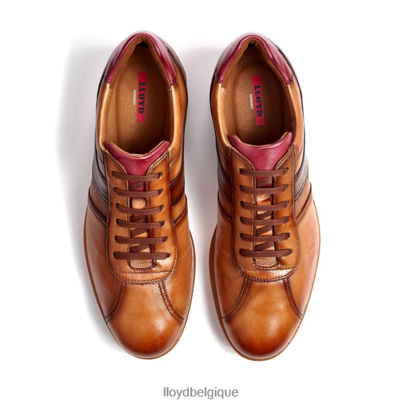 LLOYD Davos Hommes brun 4Z6Z66308 chaussures