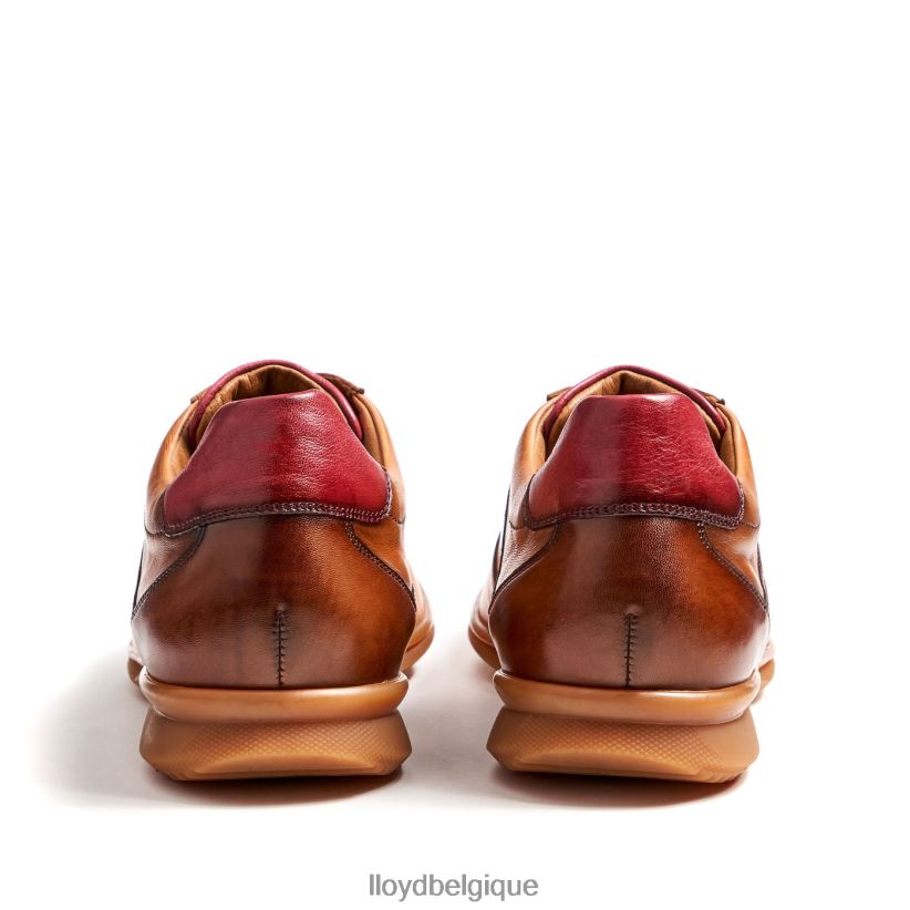 LLOYD Davos Hommes brun 4Z6Z66308 chaussures