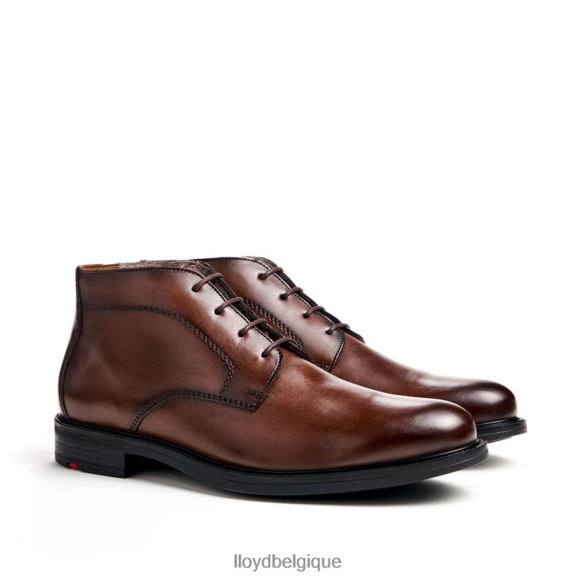 LLOYD Delaware Hommes brun 4Z6Z66461 chaussures