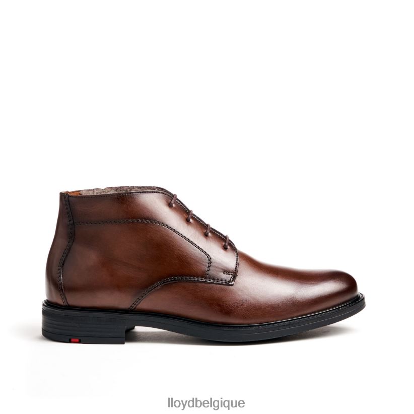 LLOYD Delaware Hommes brun 4Z6Z66461 chaussures