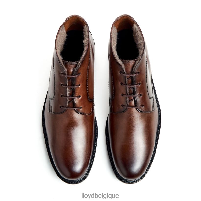 LLOYD Delaware Hommes brun 4Z6Z66461 chaussures