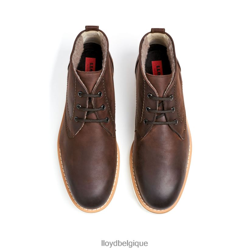 LLOYD Dempsey Hommes brun 4Z6Z6660 chaussures