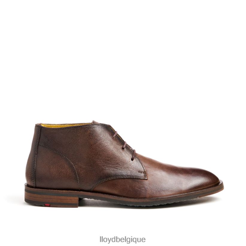 LLOYD Duc Hommes brun 4Z6Z6643 chaussures