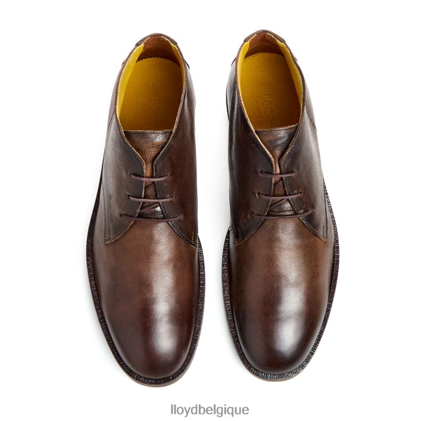 LLOYD Duc Hommes brun 4Z6Z6643 chaussures