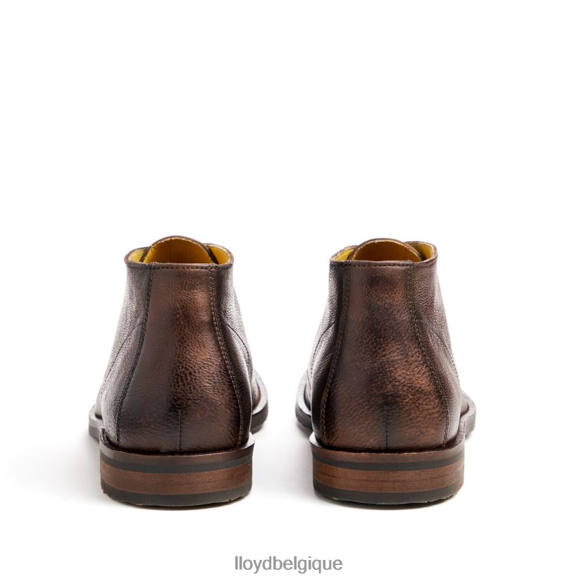 LLOYD Duc Hommes brun 4Z6Z6643 chaussures