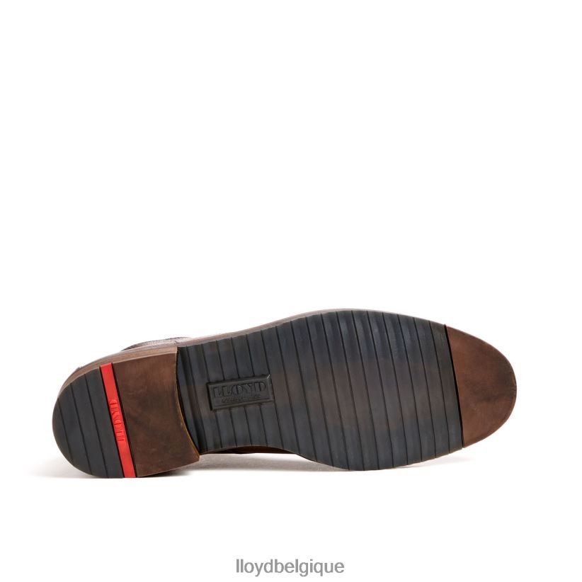 LLOYD Duc Hommes brun 4Z6Z6643 chaussures