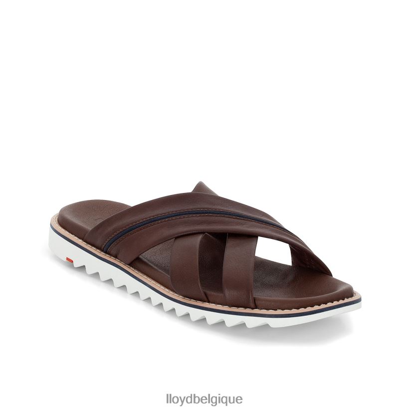 LLOYD Edvino Hommes brun 4Z6Z66584 chaussures