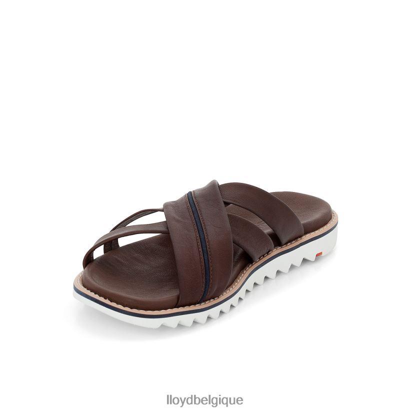 LLOYD Edvino Hommes brun 4Z6Z66584 chaussures